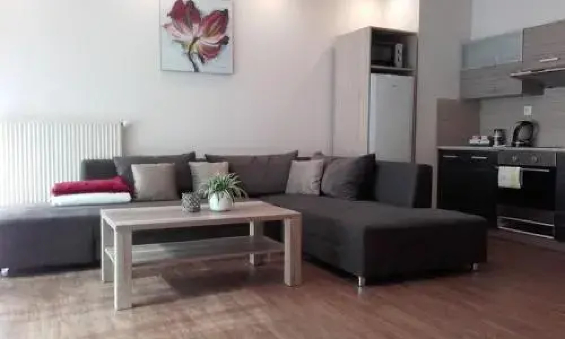 Apartmán Livingstone - Roudna