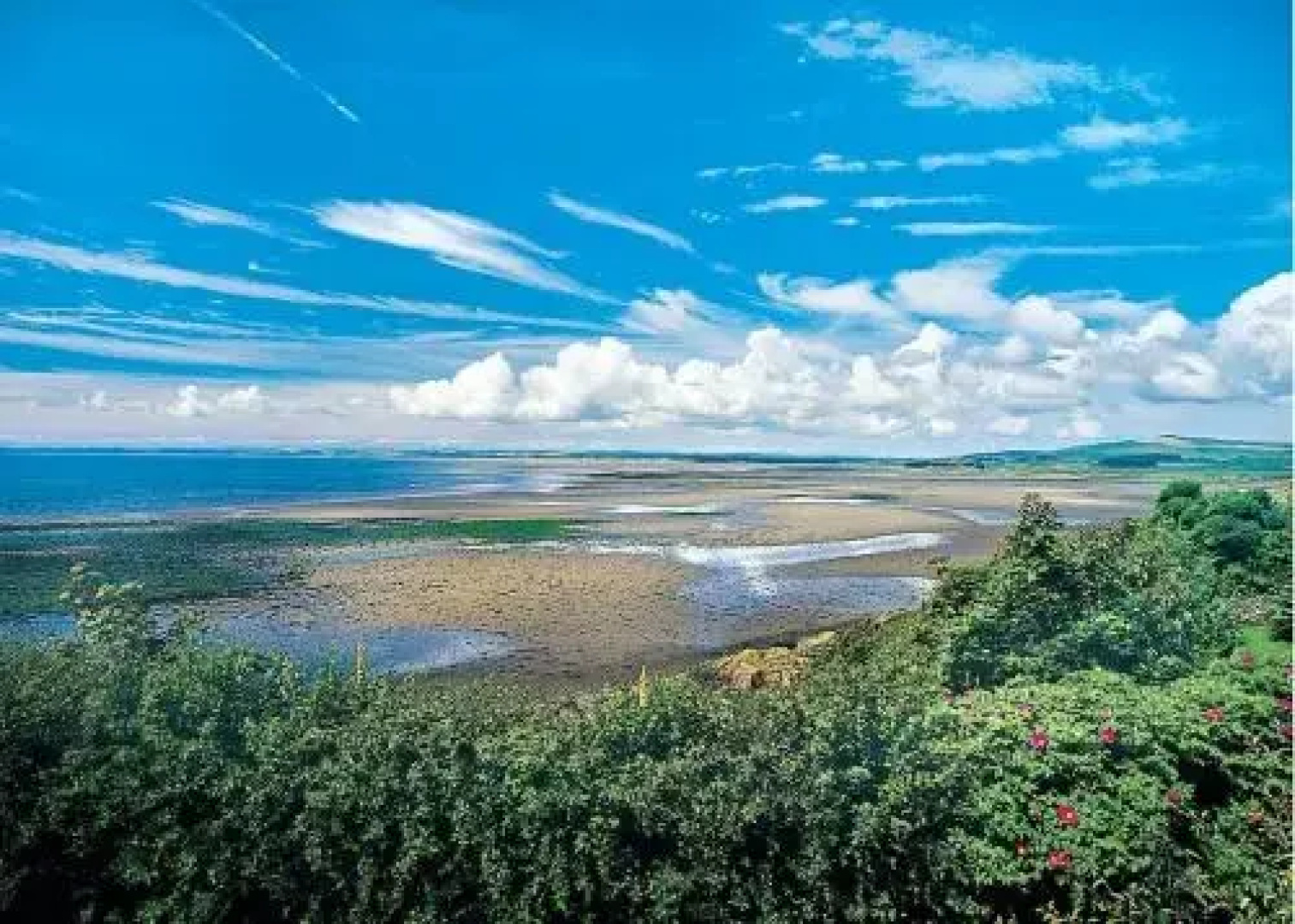 Whitecairn Holiday Park