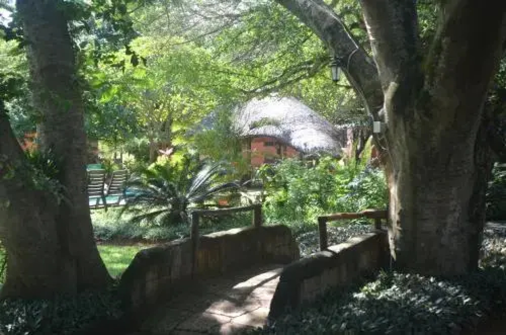 Bushbaby Lodge