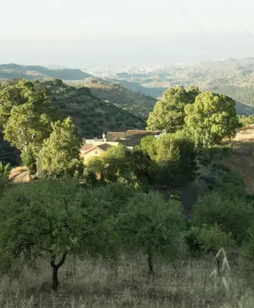 Rural Montes Málaga: Lagar Don Sancho