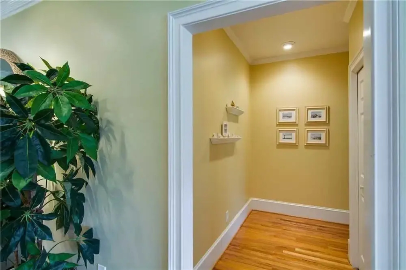 Hidden Oaks Drive 3011 by RedAwning