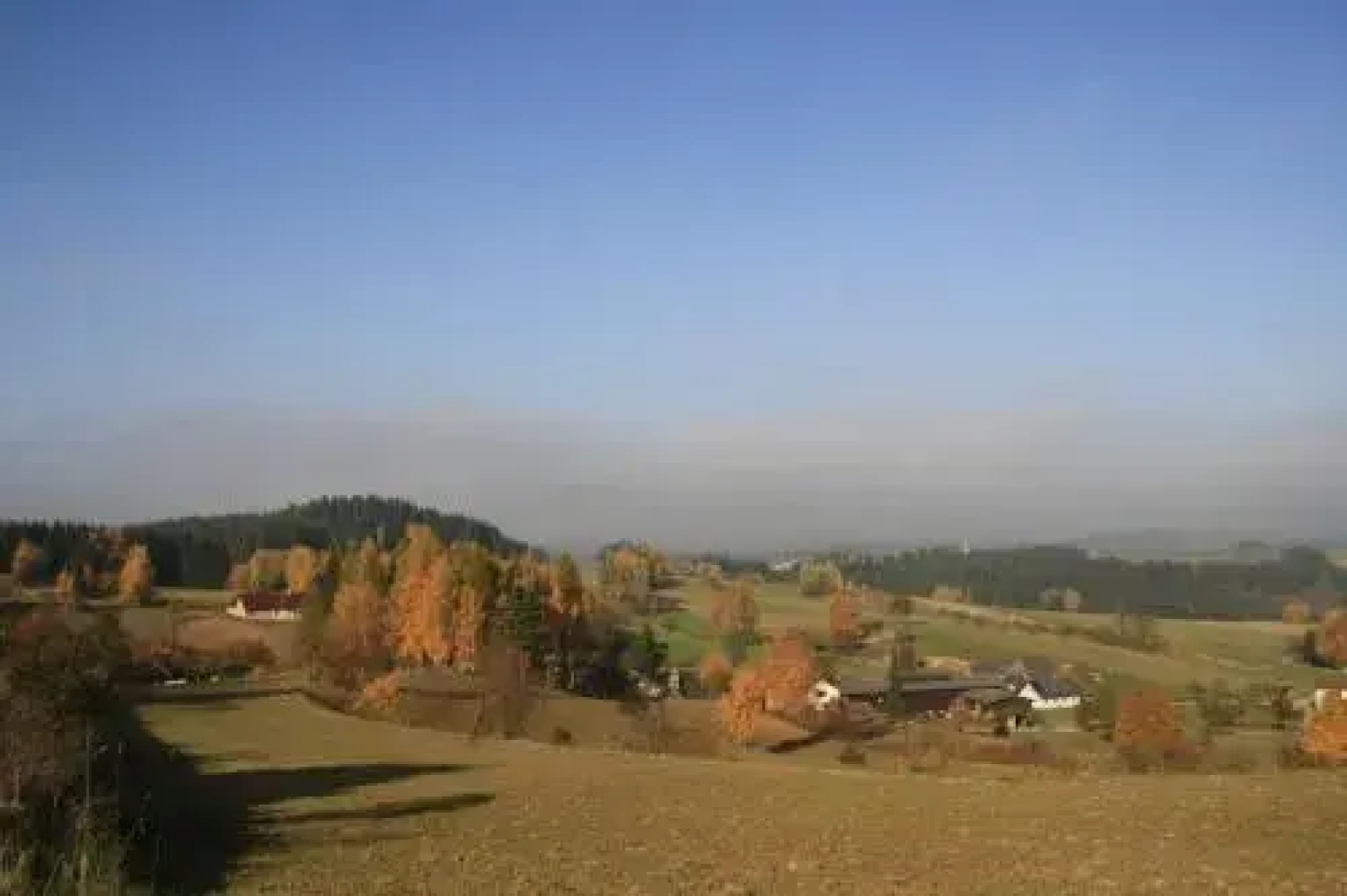 Biohof Besenbäck