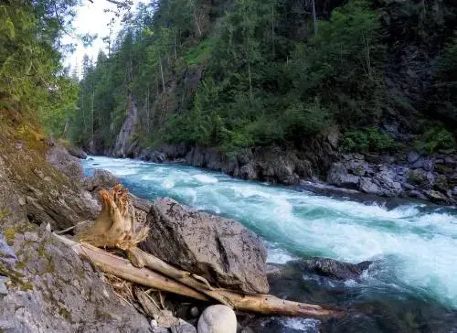 REO Rafting Resort
