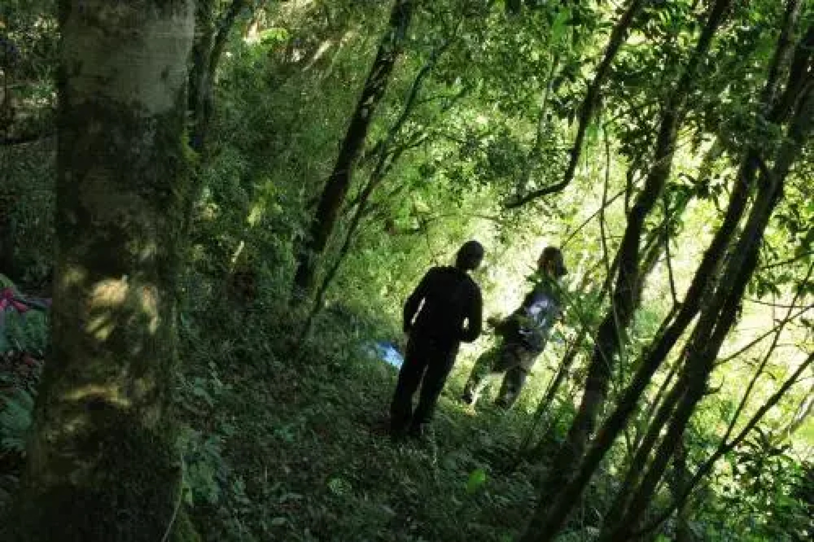 La Perla de la Selva Lodge