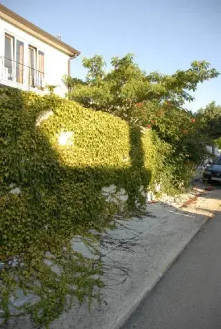 Apartments & Villa Darko