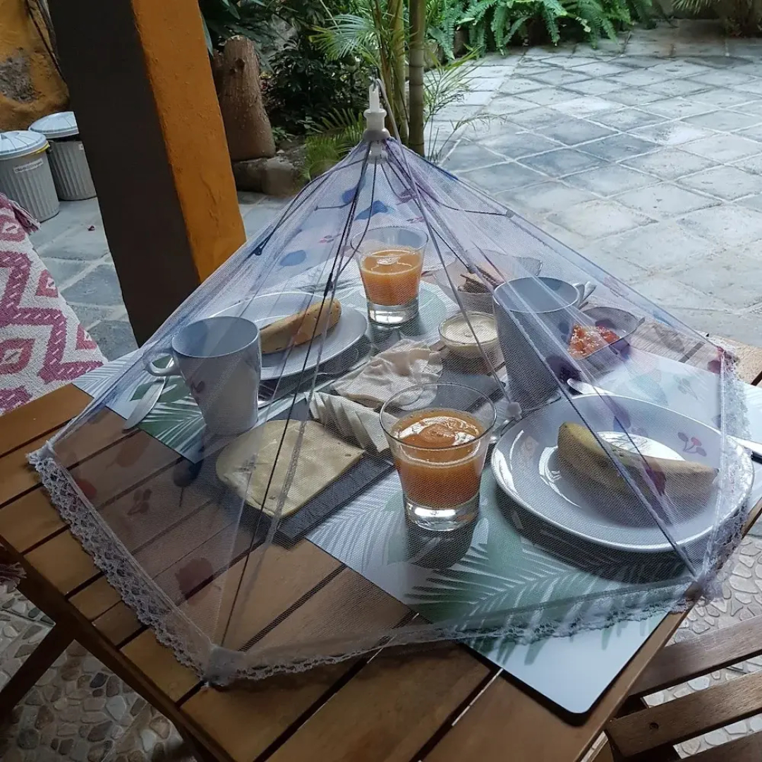 Casa La Moringa