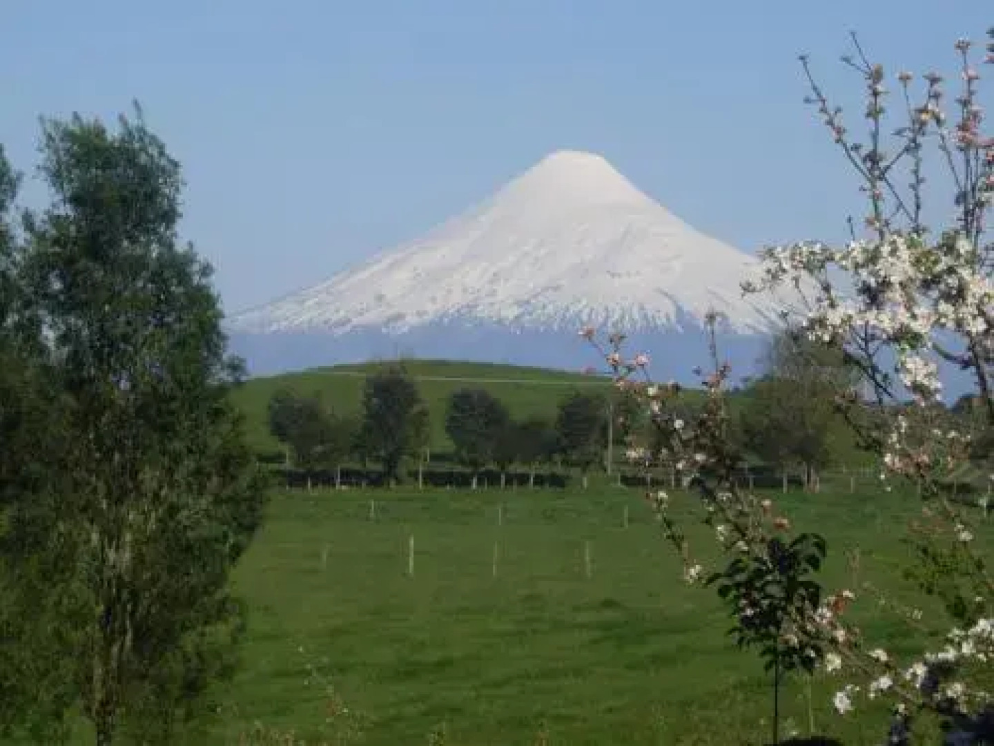 Hostal Zapato Amarillo