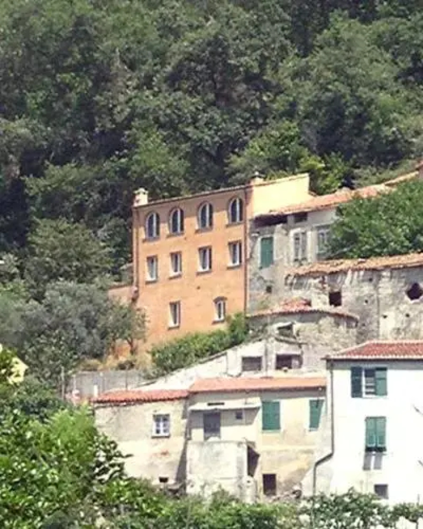 B&B Nelly G