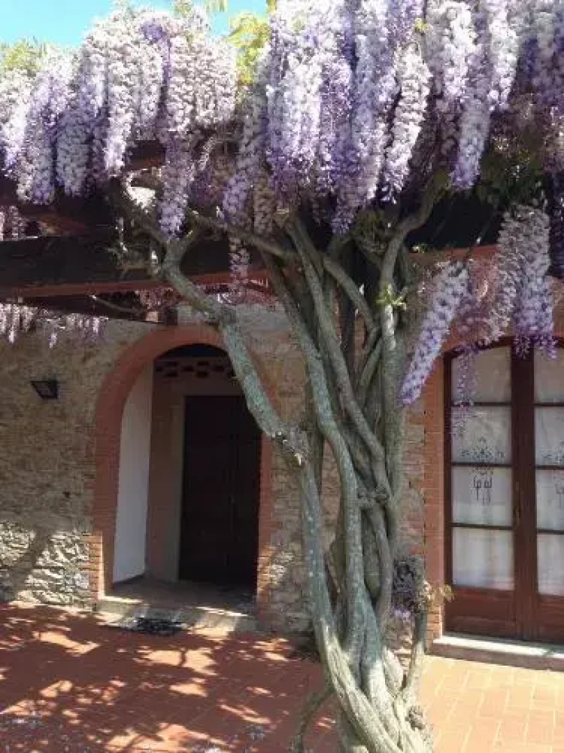 Fattoria Cirene