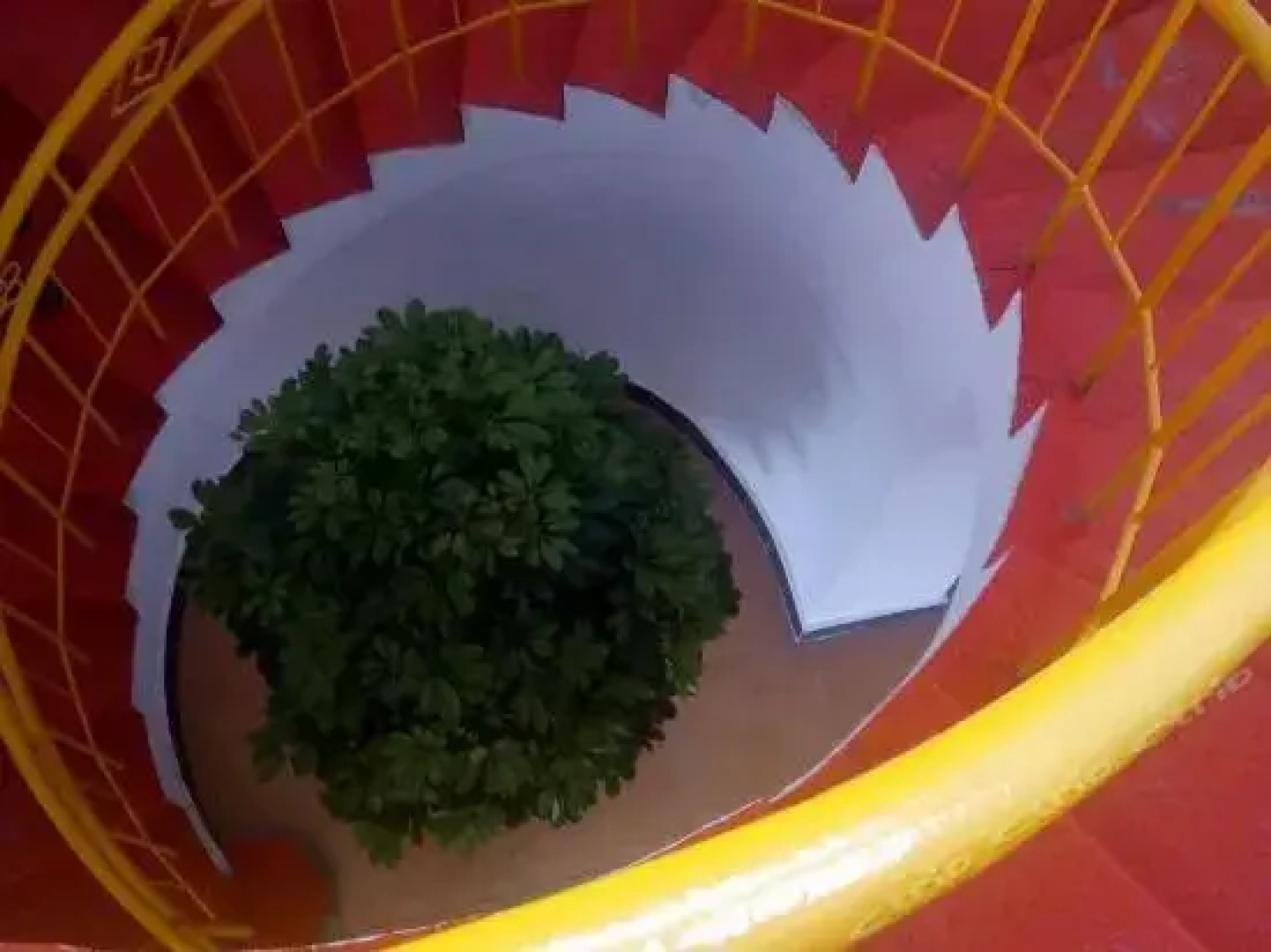 Bajiao Manzu Zhuangyuan