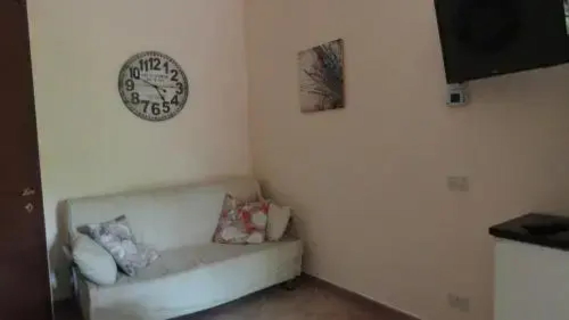 Piccola Volpe