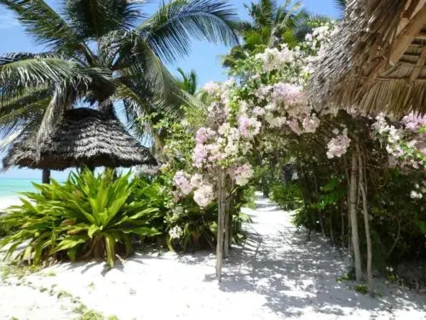 Paradise Beach Bungalows