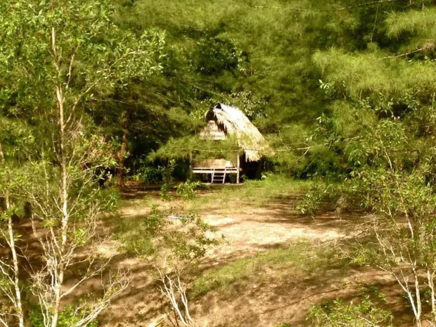 Phra Thong Nature Resort