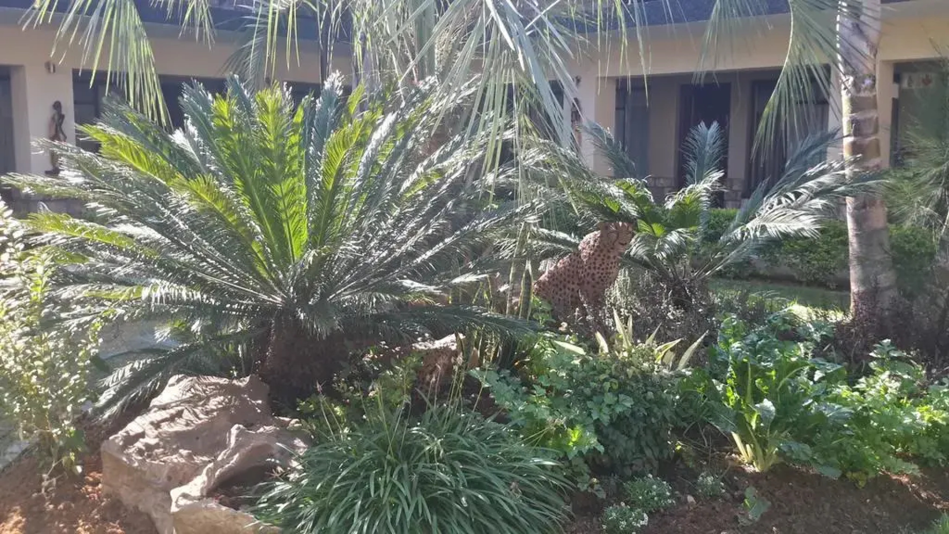 Ecotel Premier Lodge & Conference Centre