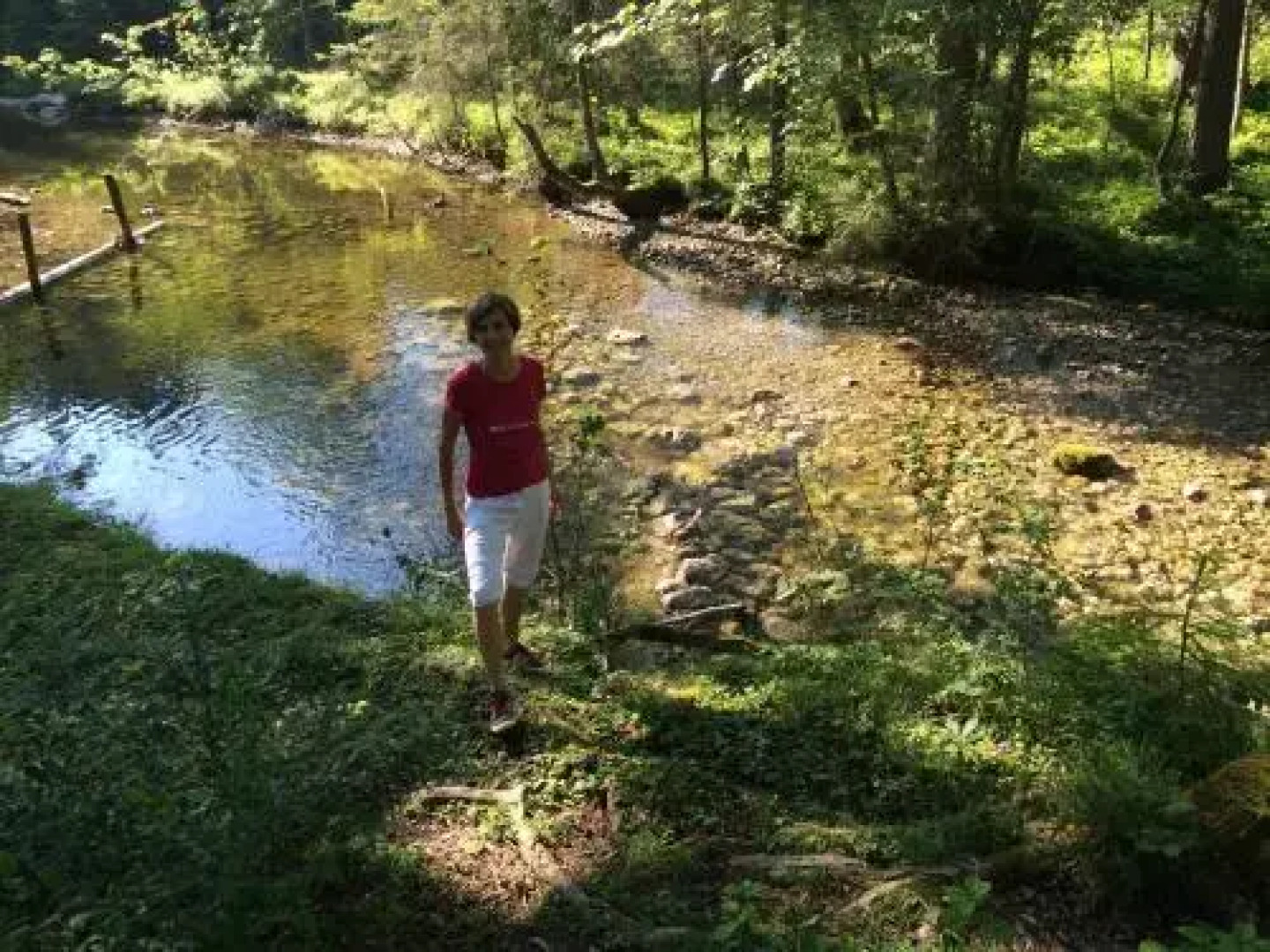 Ferienwohnung Wildrose