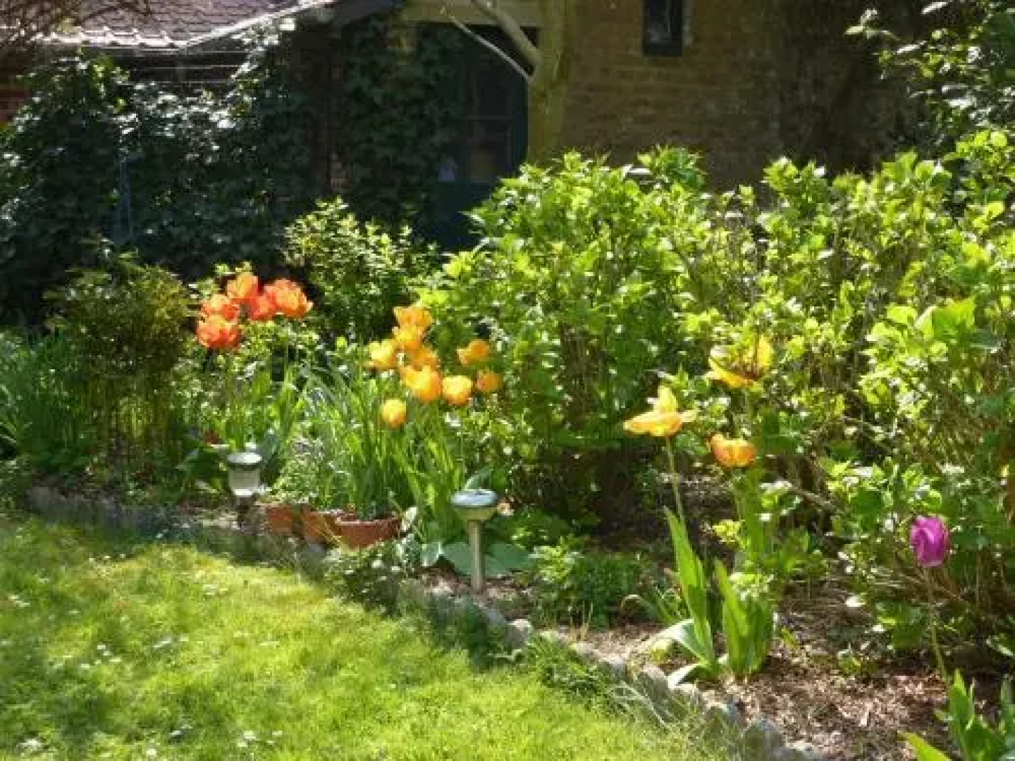 Garden Cottage