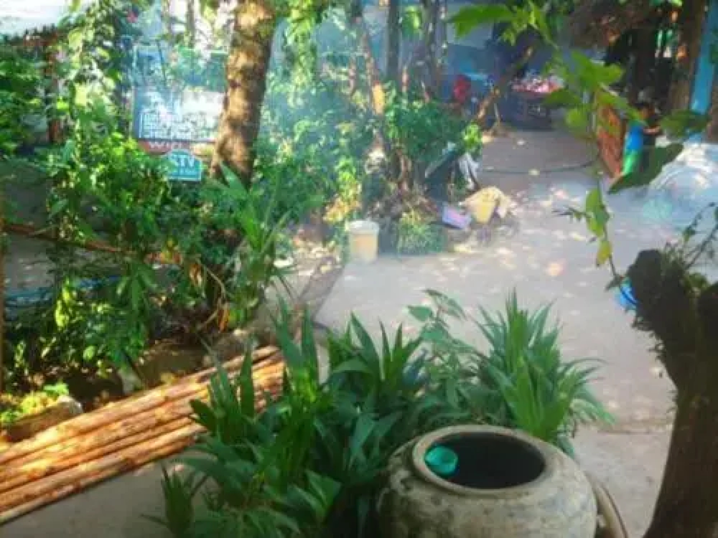 Paddy's Bamboo Guesthouse