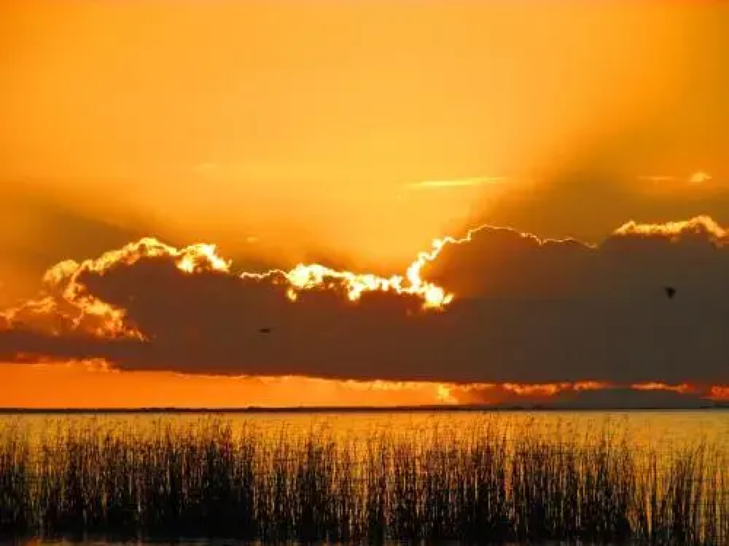 Lake Albert Caravan Park