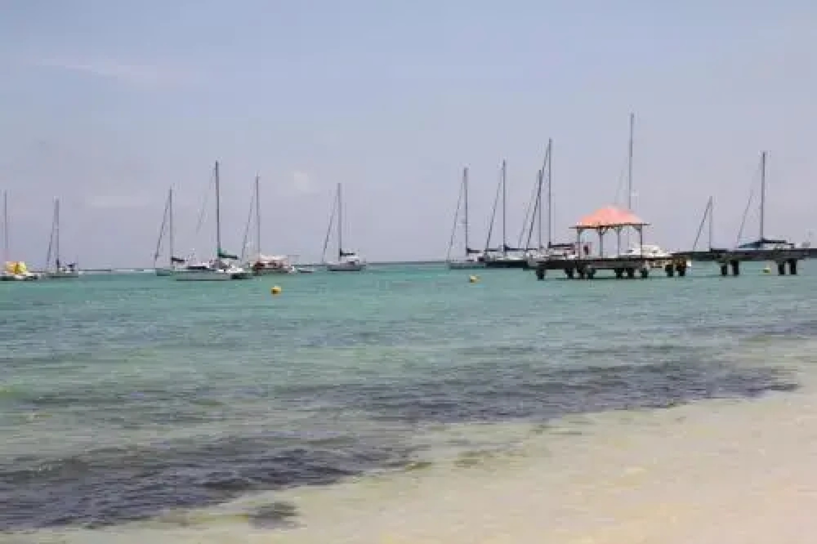 Villas Coco - Caraibes - les Palmiers -Hamak