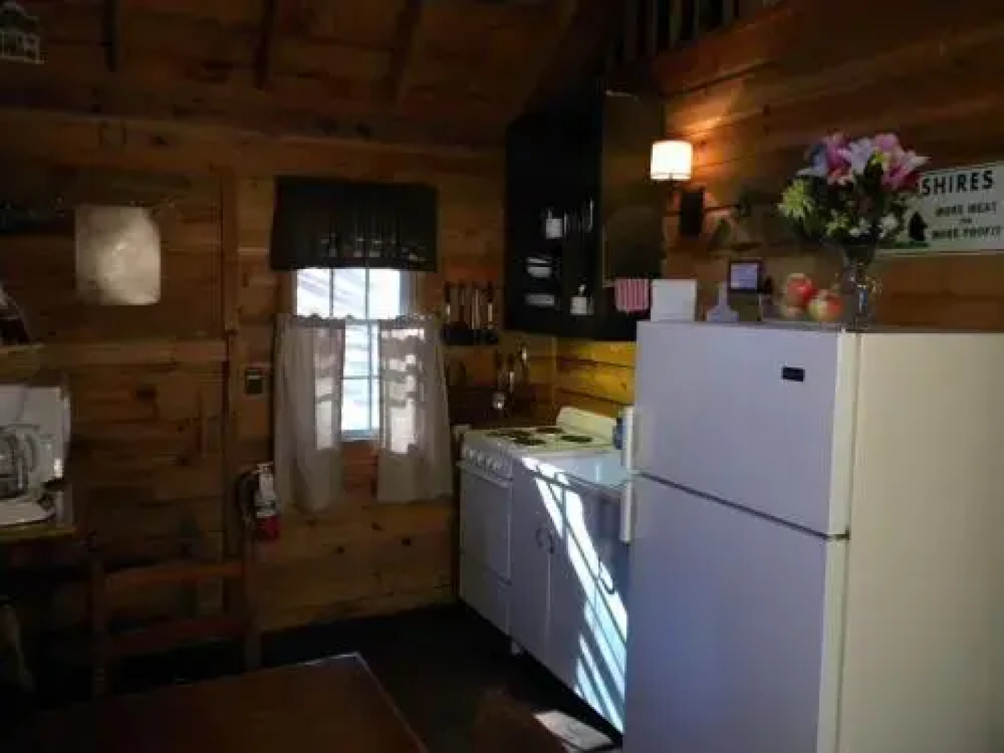 Cabin Fever - Saluda