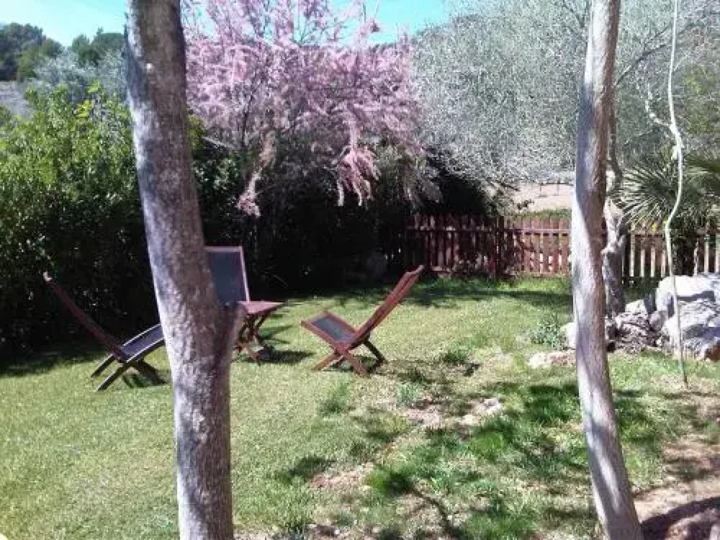 Masia Rural Cal Simó