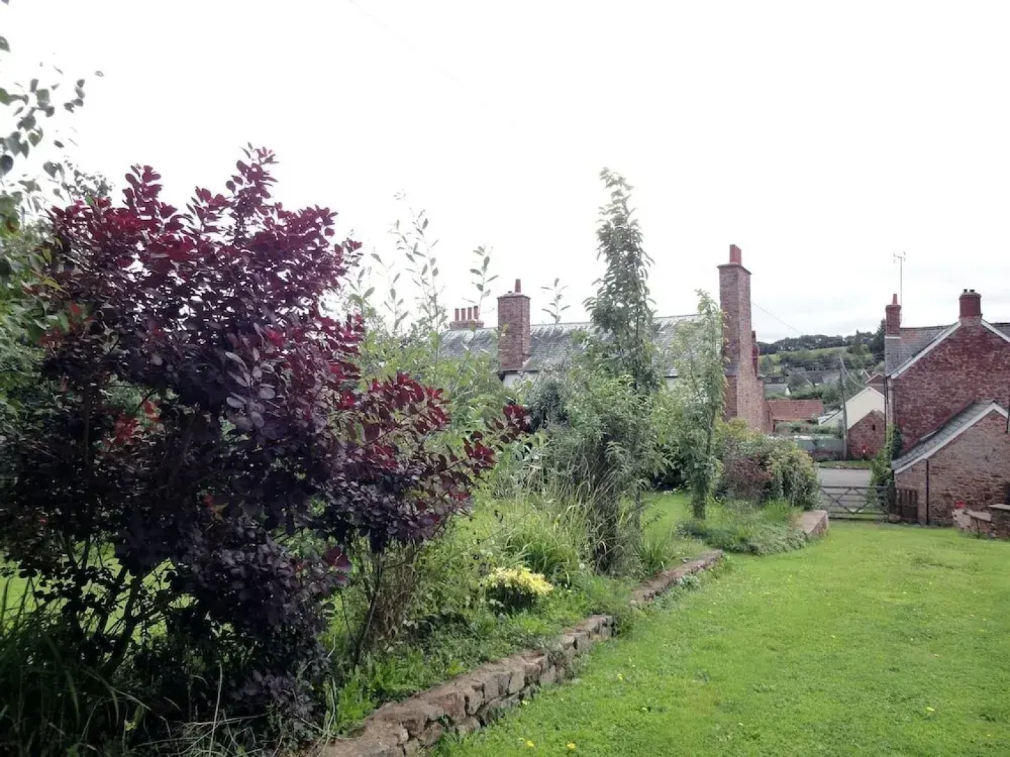 Elmfield
