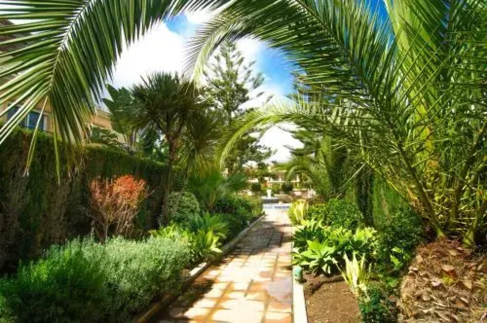 Penthouse Venalmar