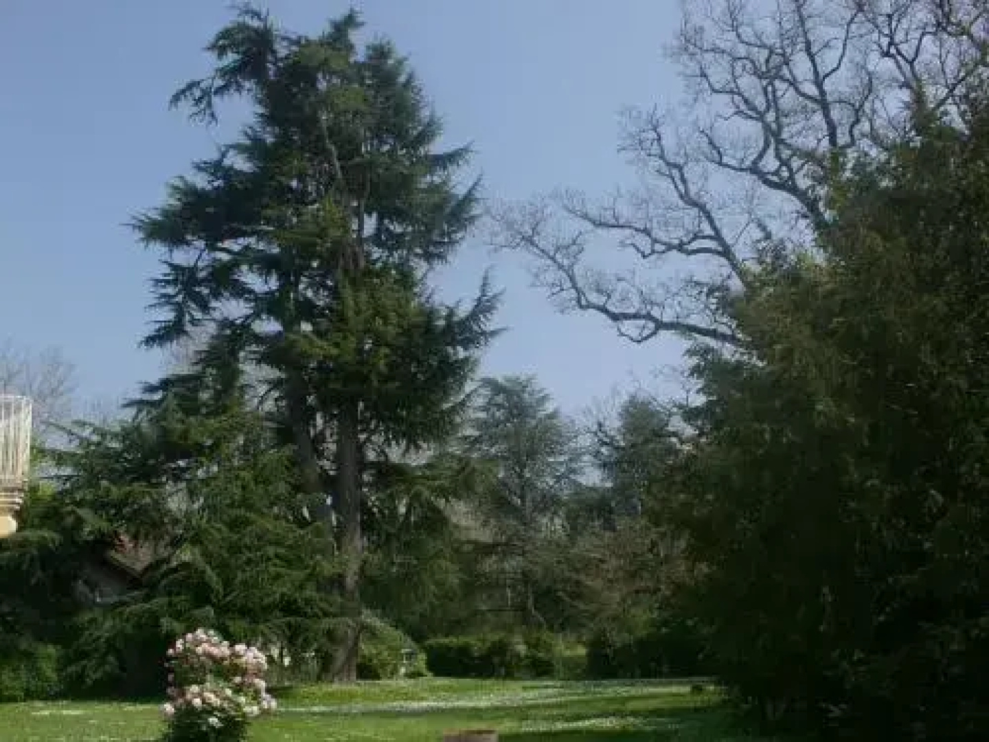 Domaine de Fonroques - Roulottes