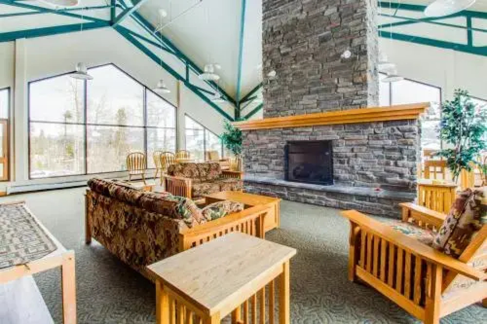 Treehouse 208
