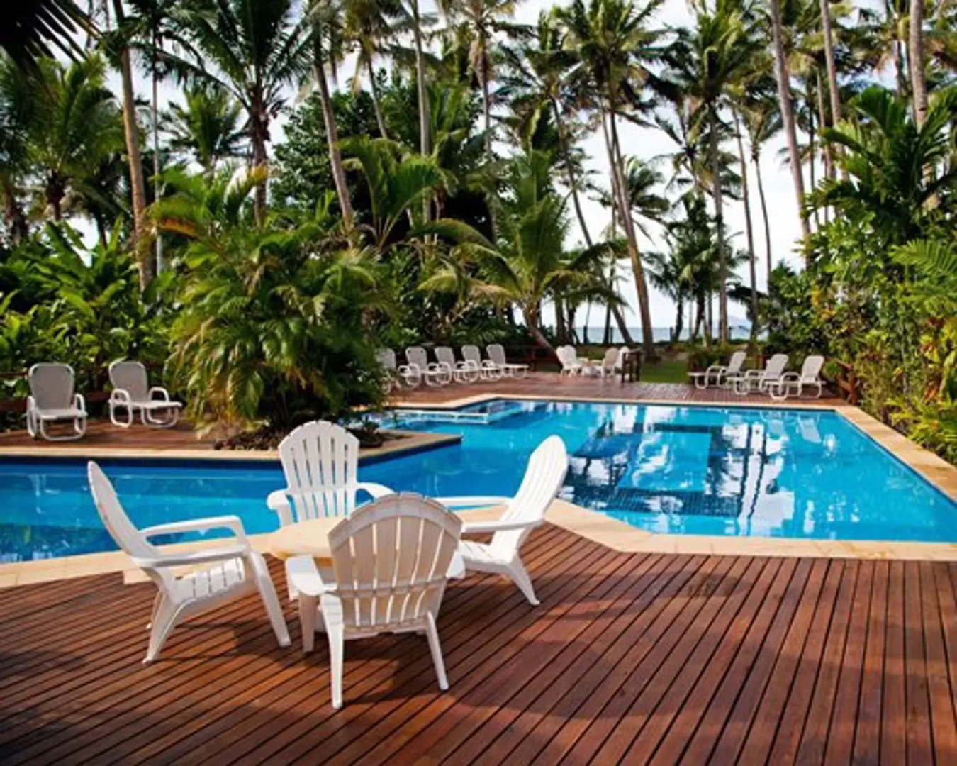 Fiji Palms