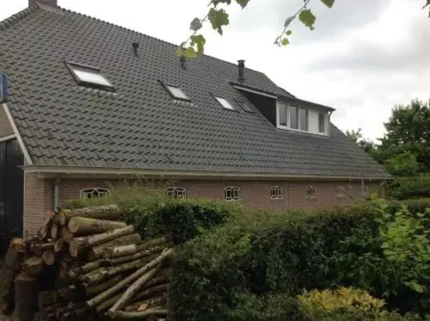 B&B Linde