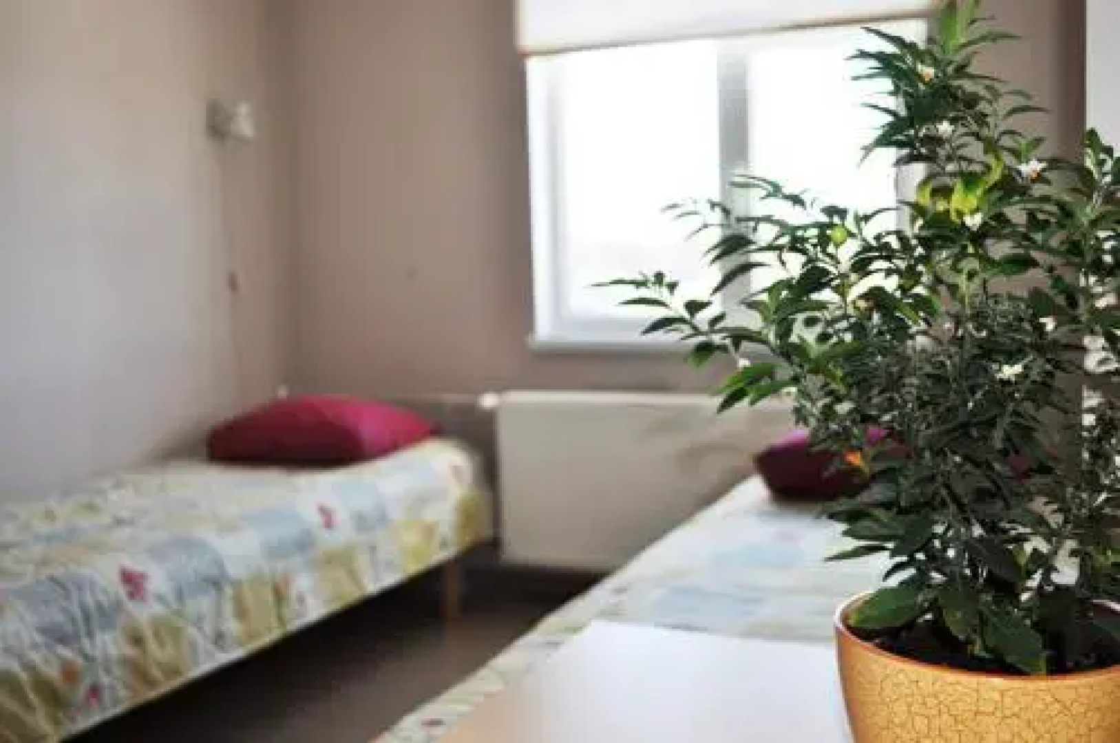 Haapsalu Kutsehariduskeskuse hostel