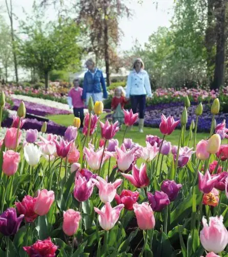 Vakantiepark Koningshof