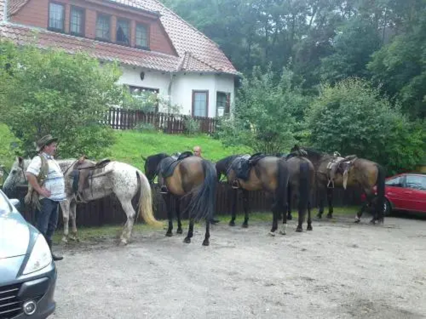 Hotelpension Schwalbennest