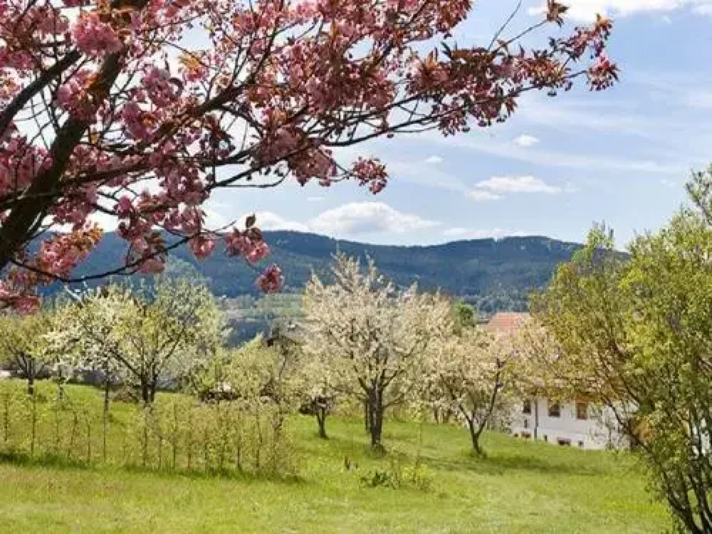 Ferienhaus Weps