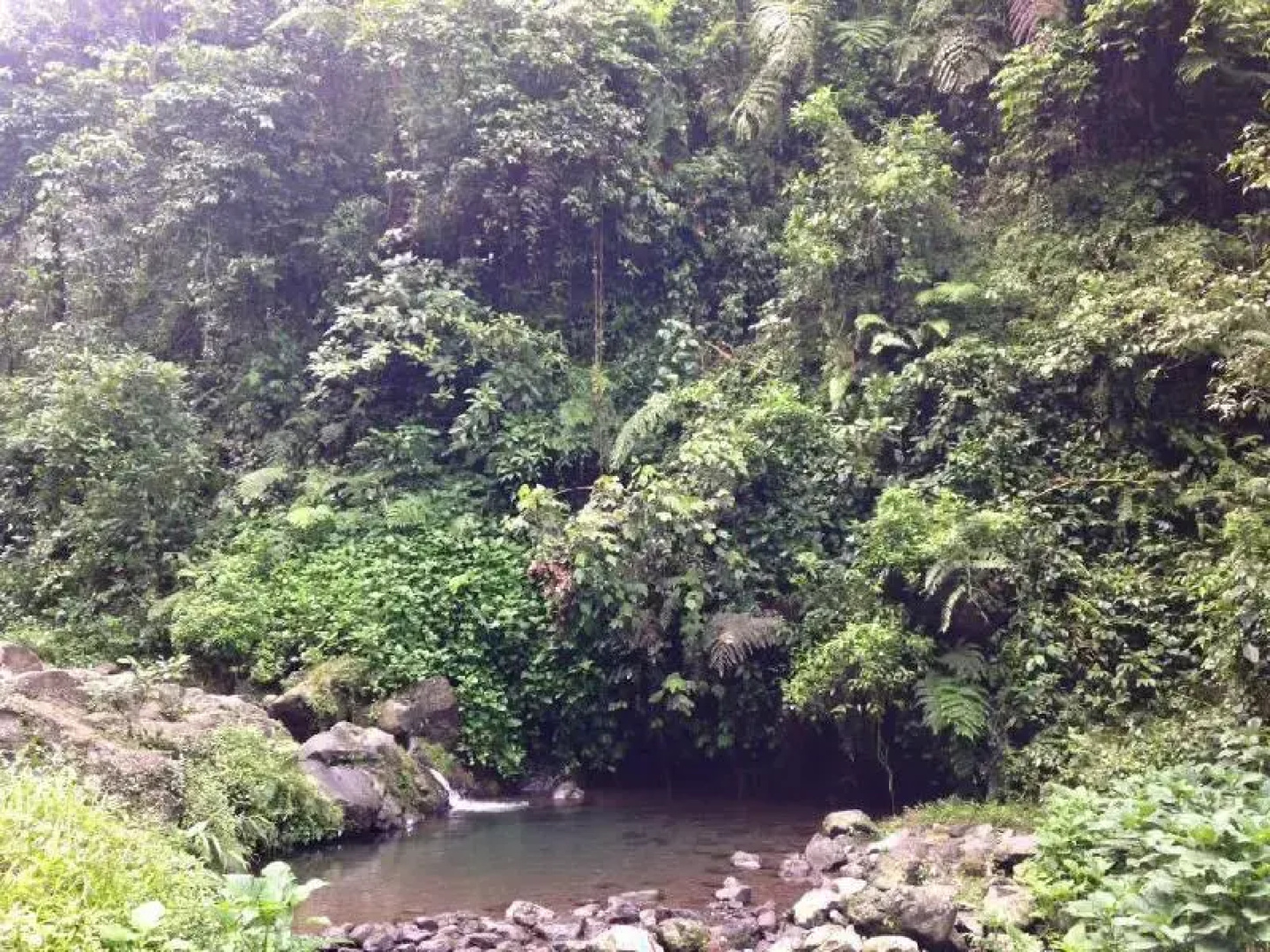Herman Lantang Camp