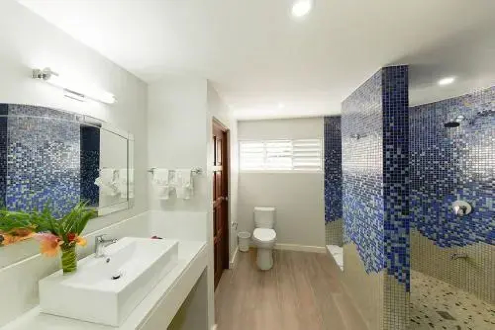 Coral Cay Villas