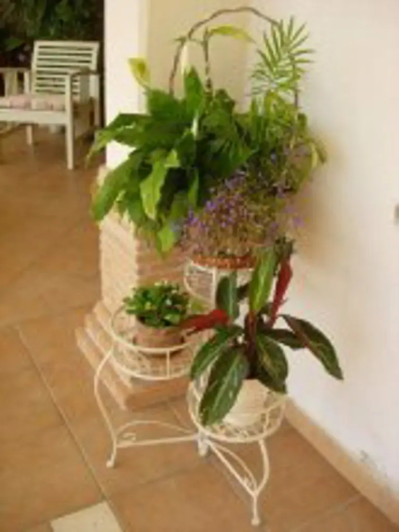 B&B Il Cantico