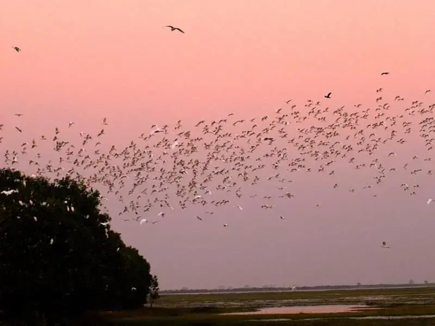 Moe Yun Gyi Wildlife Sanctuary & Wetlands Resort