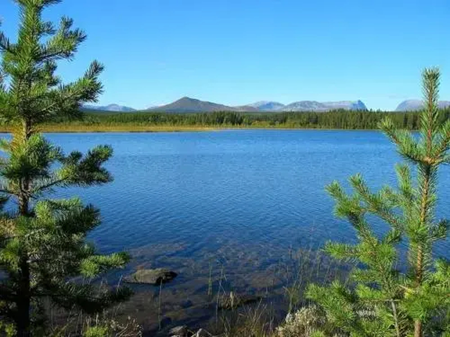 Gästhus Nornäs Camp