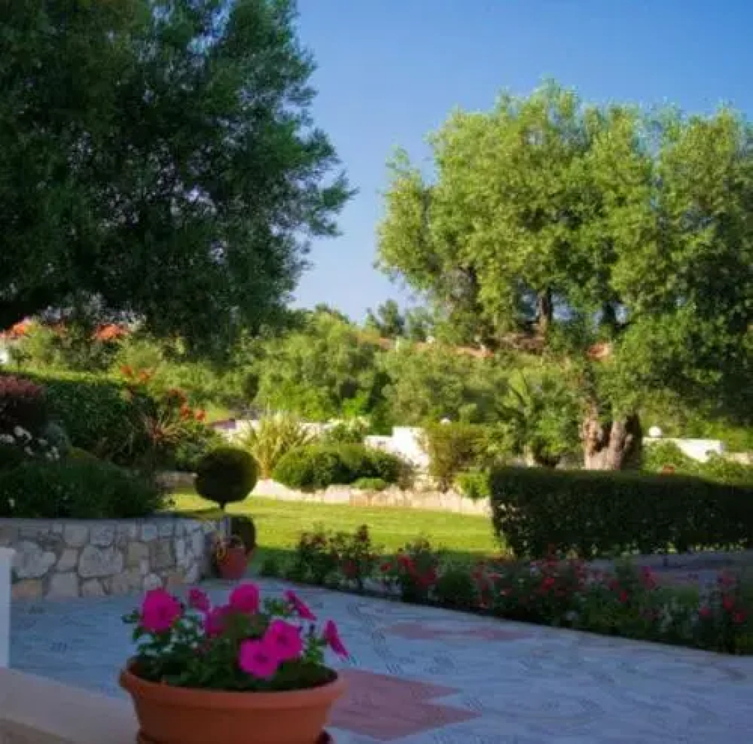 Aphrodite Studios