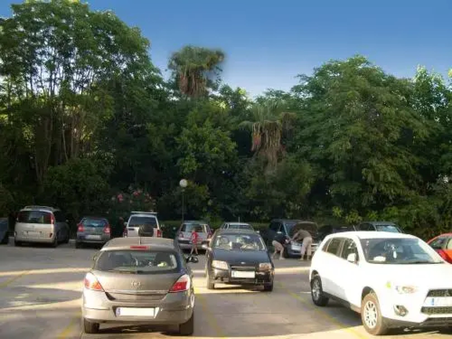 Mirador de las Palmeras