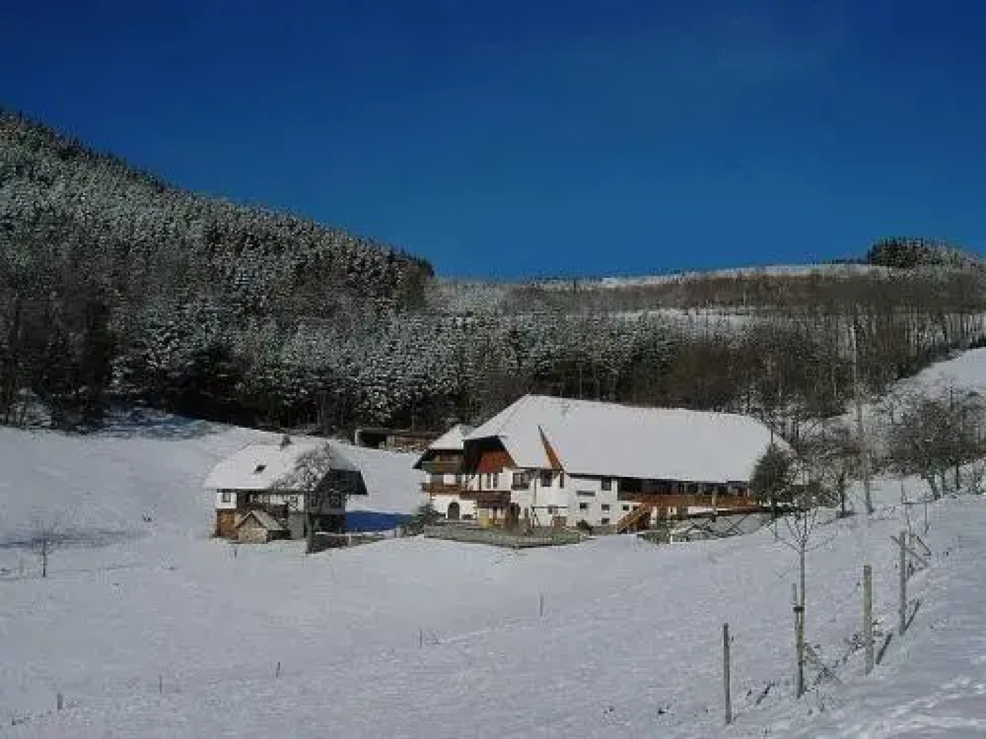 Uhlhof