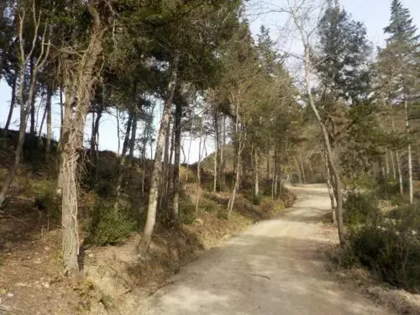 Agriturismo Ormanni Podere La Querce E Montignano