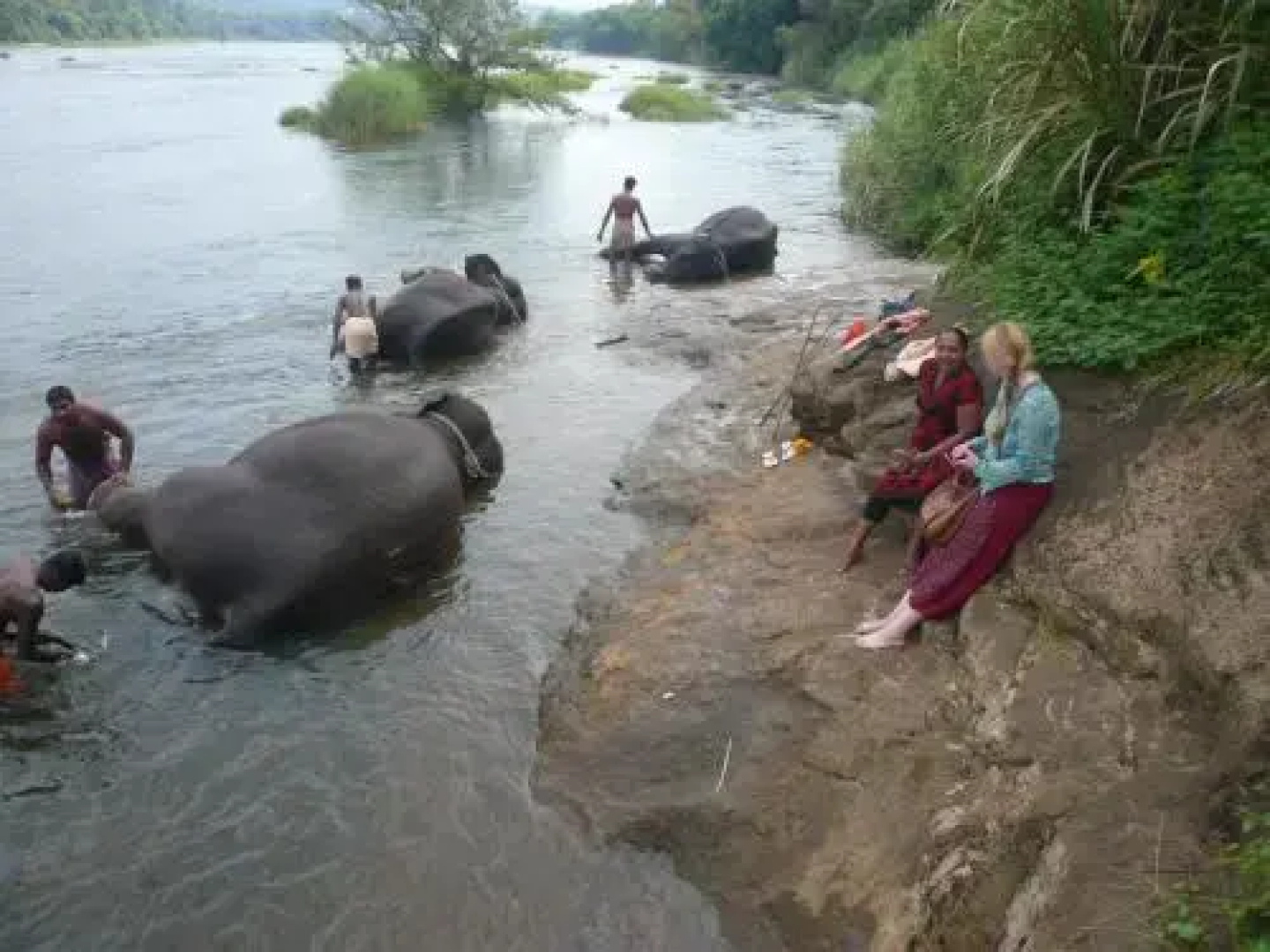 CRIS Home Stay Cochin