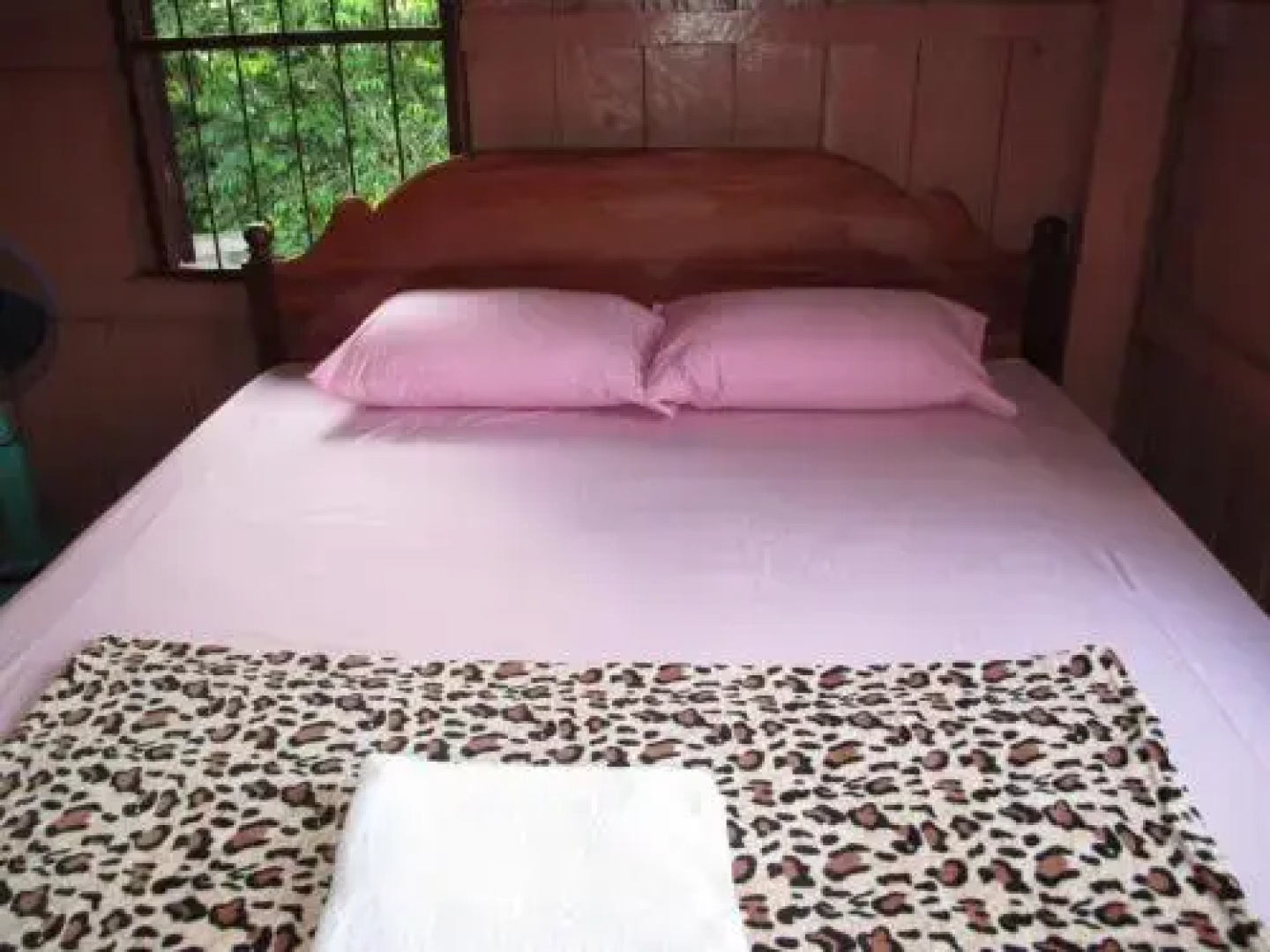 Palm Civet Guesthouse