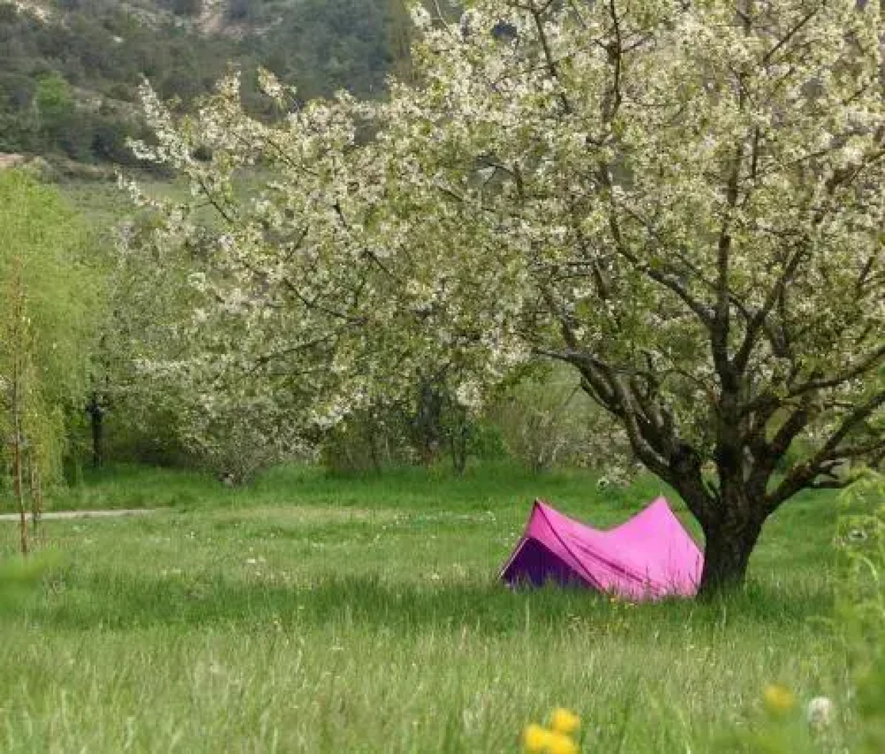 Camping des Catoyes