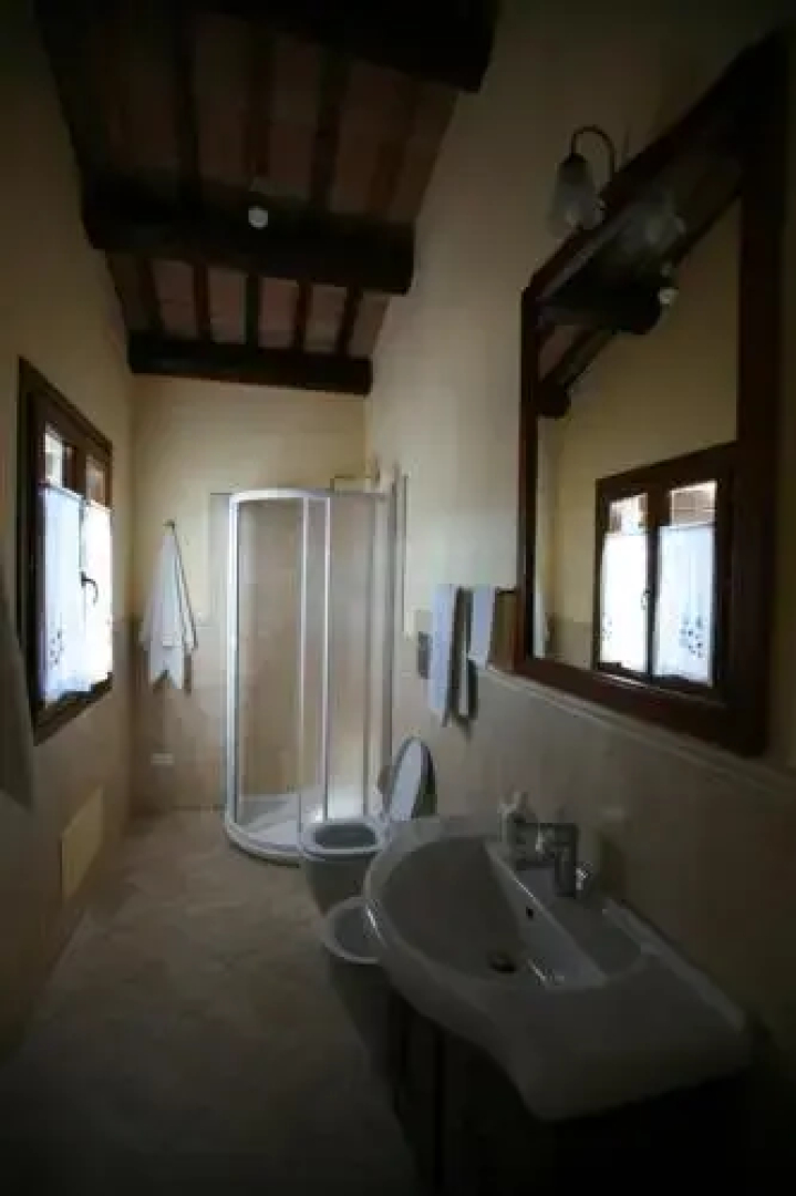 B&B Contarine