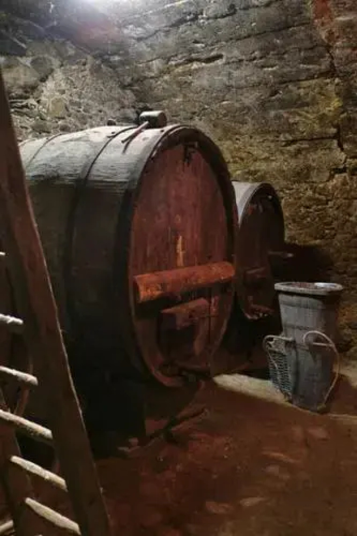 Agriturismo La Singèla