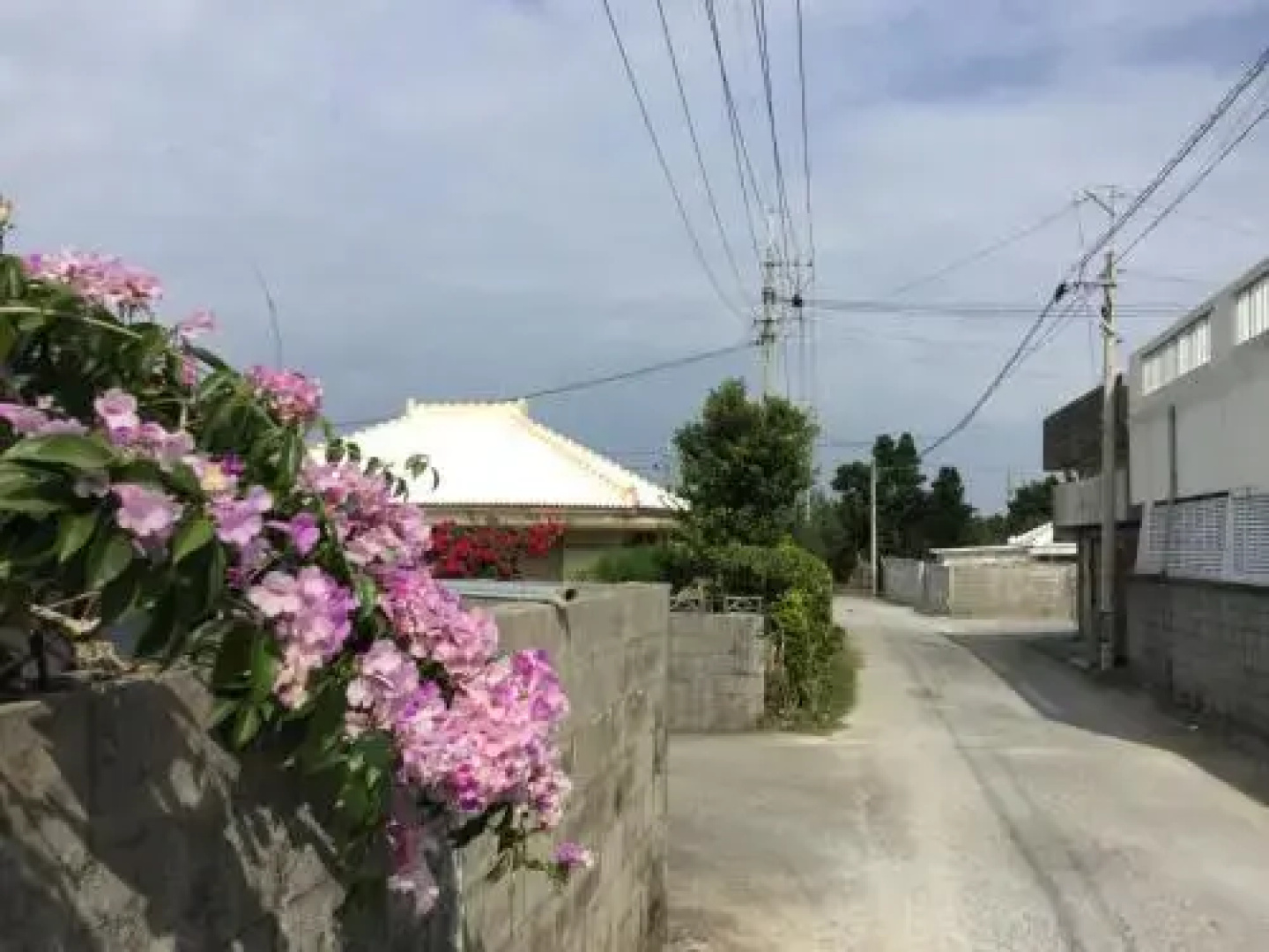 Sesoko Island Guest House Kafuu Village